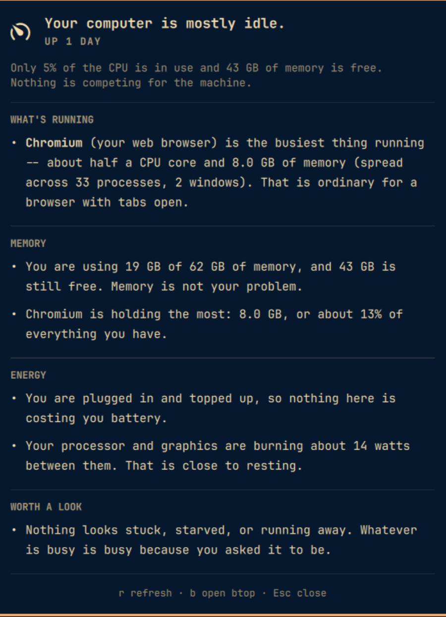 Omarchy Plain English plugin output showing a plain-language system summary
